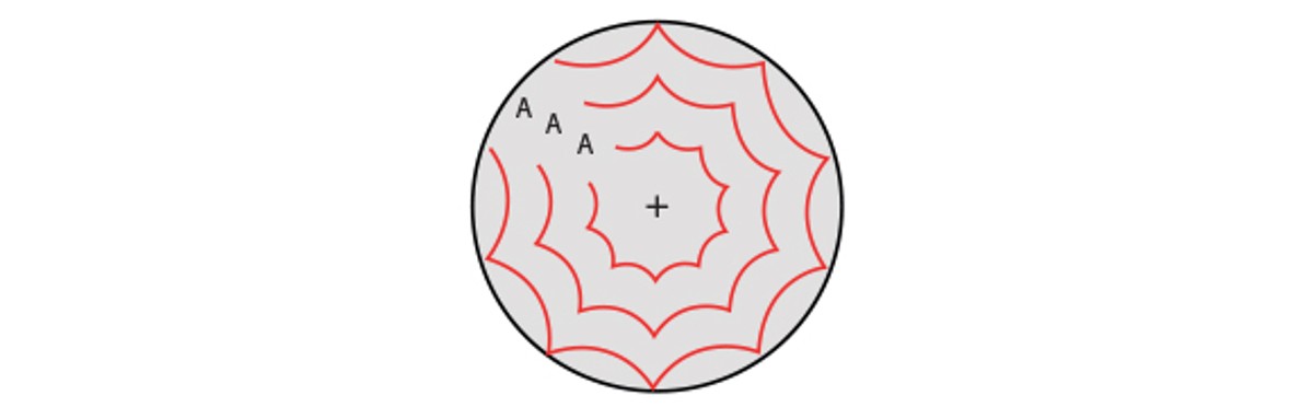 Dual action polermaskine